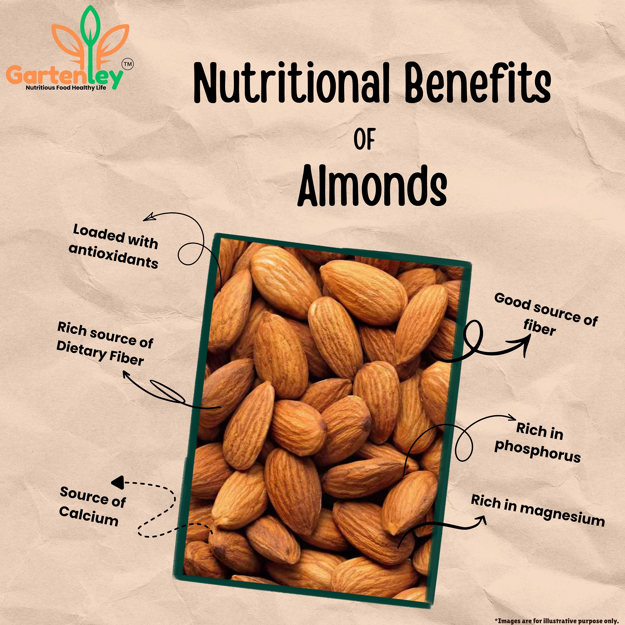 PREMIUM CALIFORNIA ALMOND KERNELS - 200g - Image 3