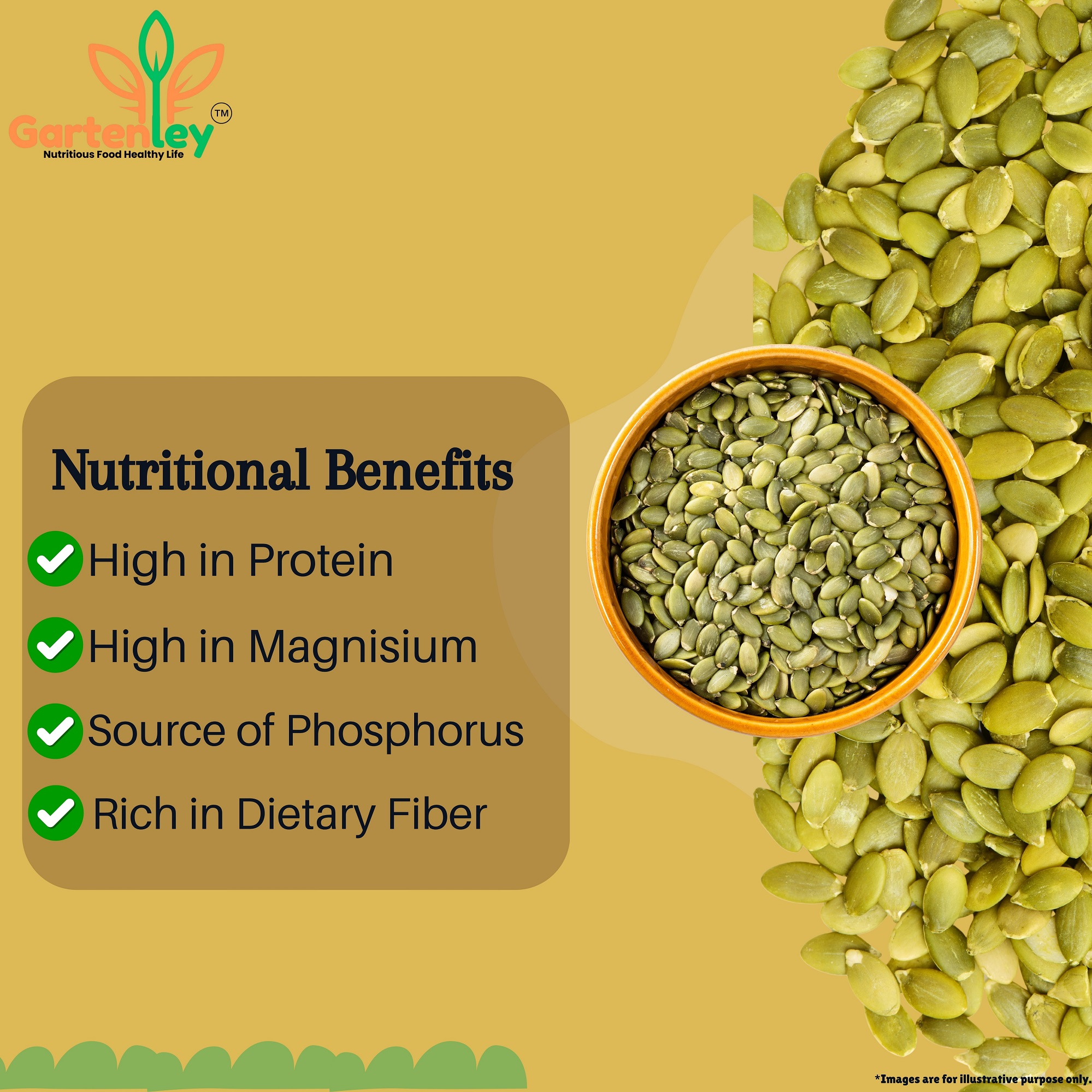 PREMIUM PUMPKIN SEEDS - 400g - Image 3
