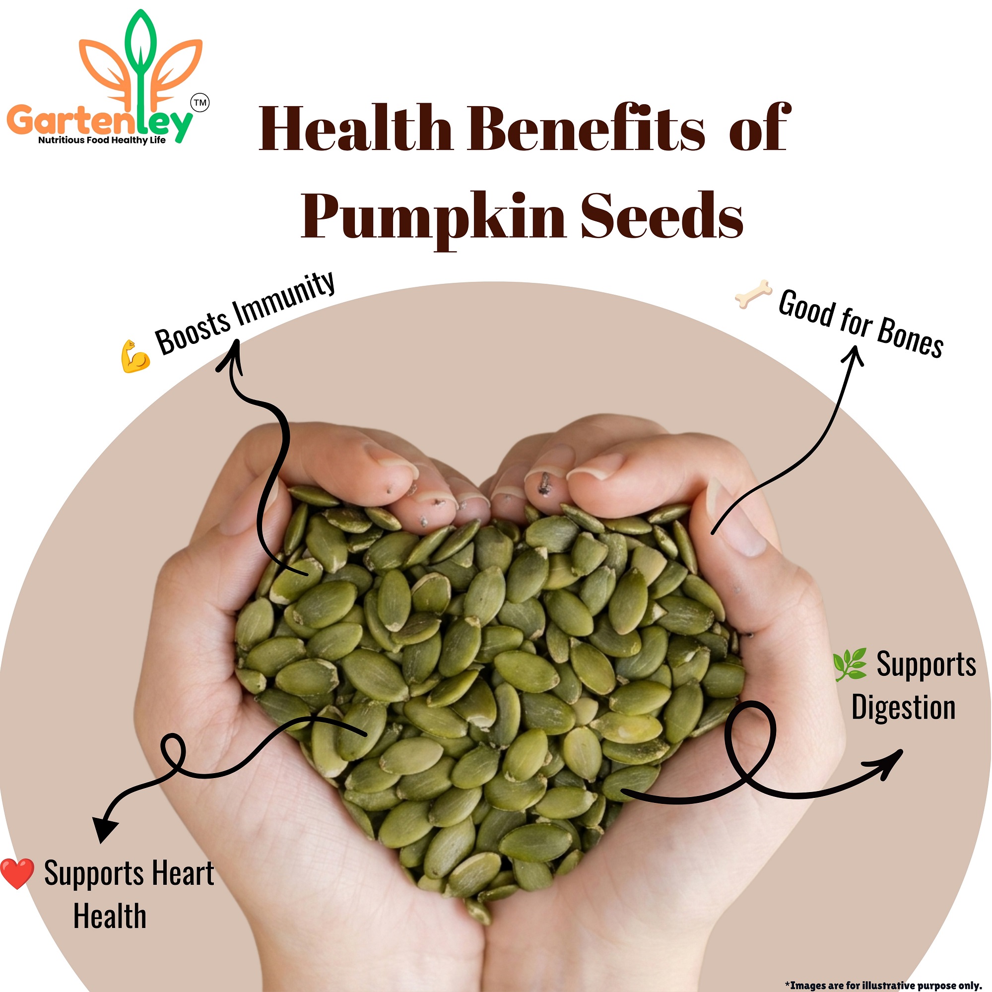 PREMIUM PUMPKIN SEEDS - 400g - Image 4