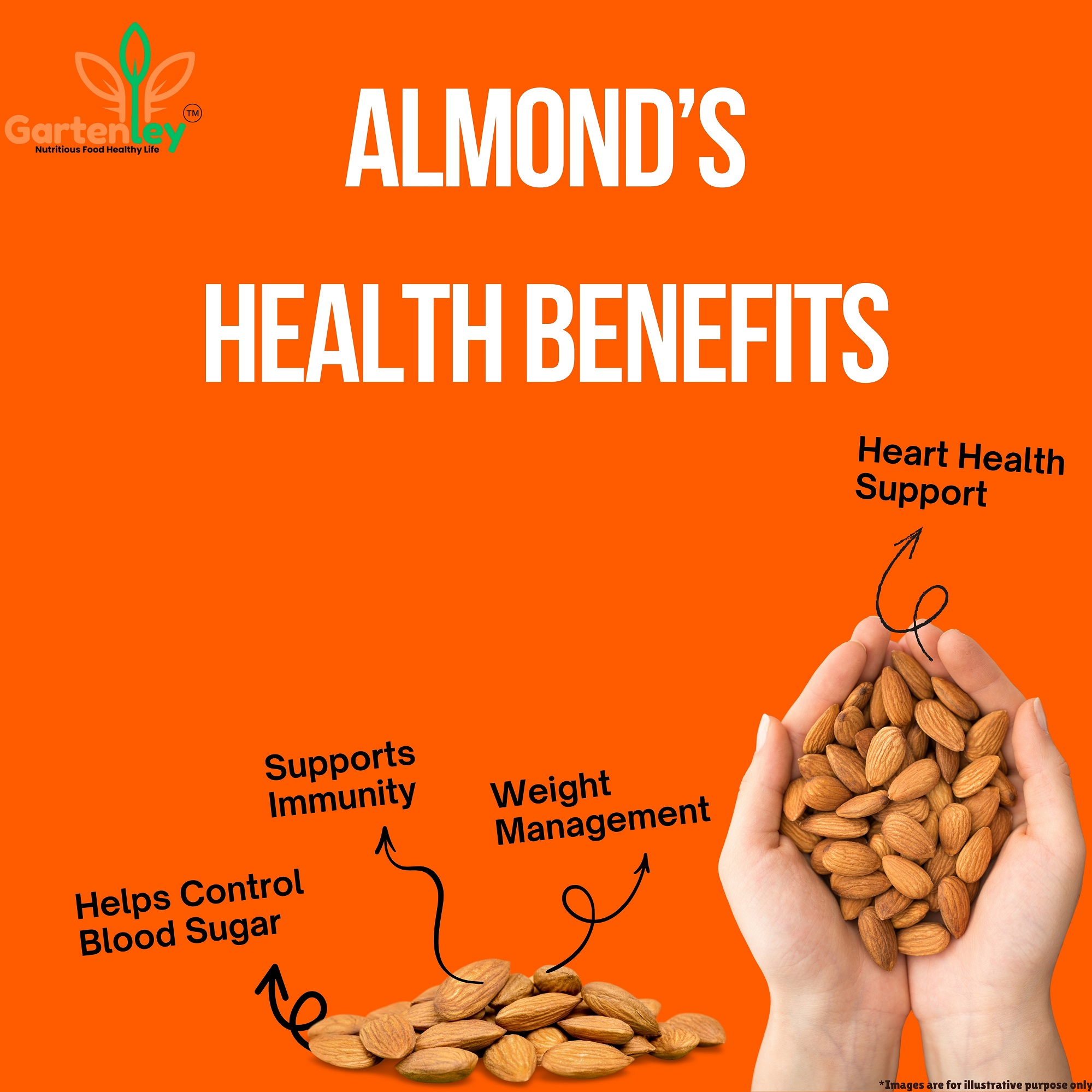 PREMIUM CALIFORNIA ALMOND KERNELS - 200g - Image 4
