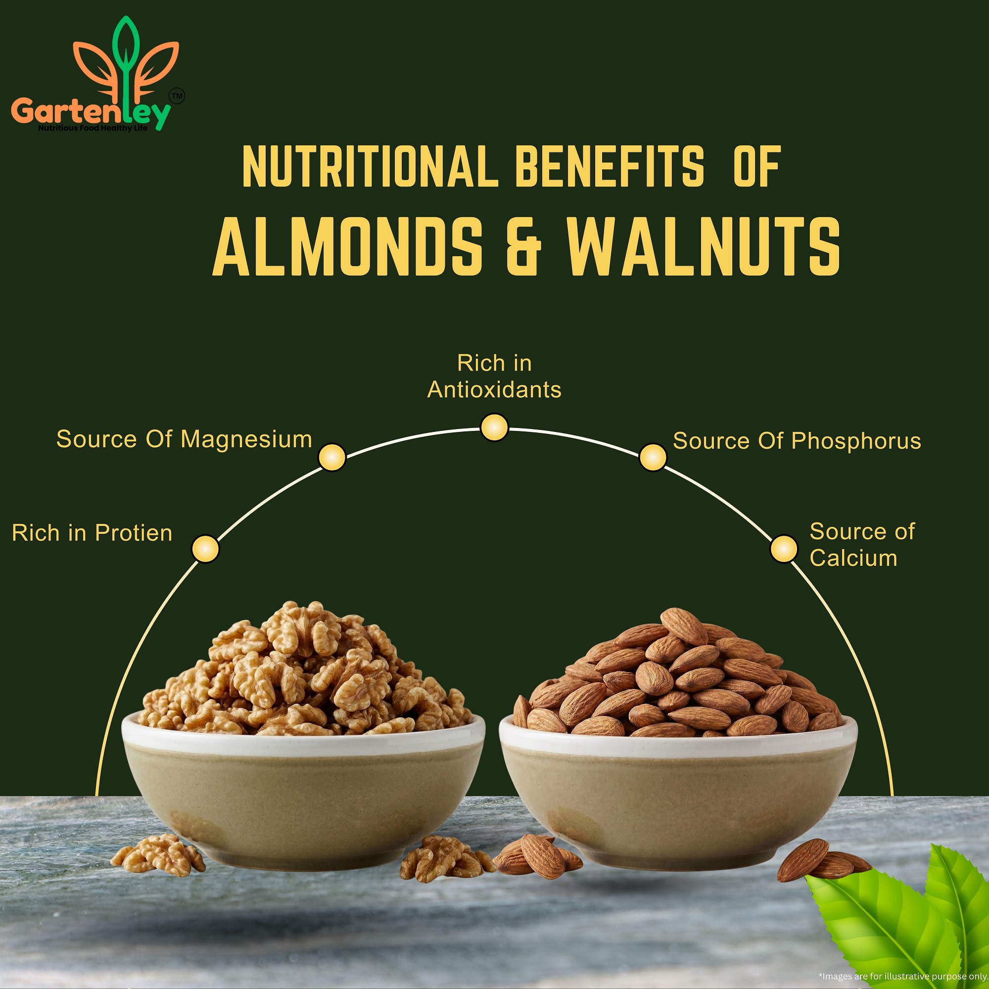 PREMIUM CALIFORNIA ALMOND & WALNUT KERNELS COMBO PACK- 400g - Image 3