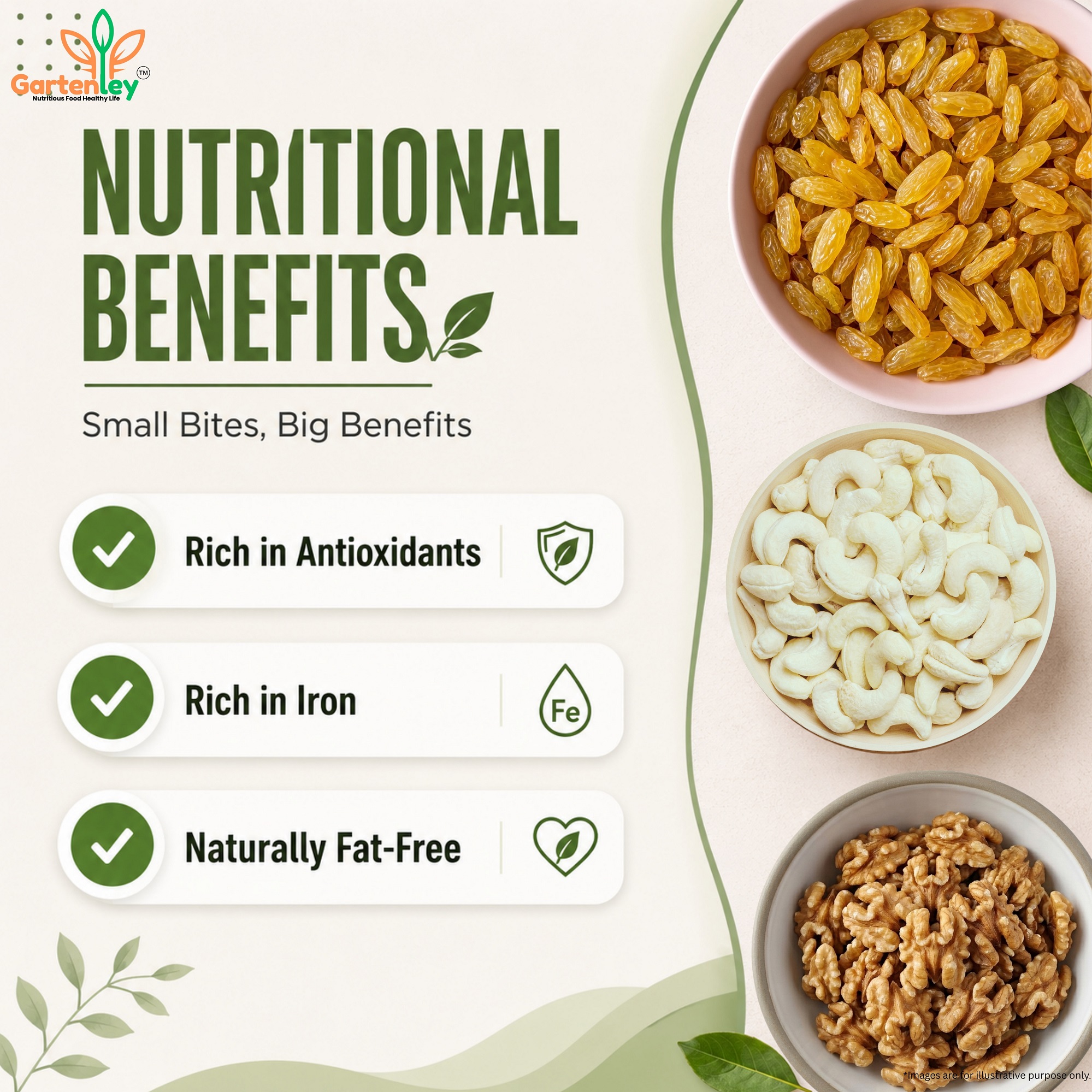 PREMIUM CASHEW, WALNUT KERNELS & RAISINS COMBO PACK - 600g - Image 3