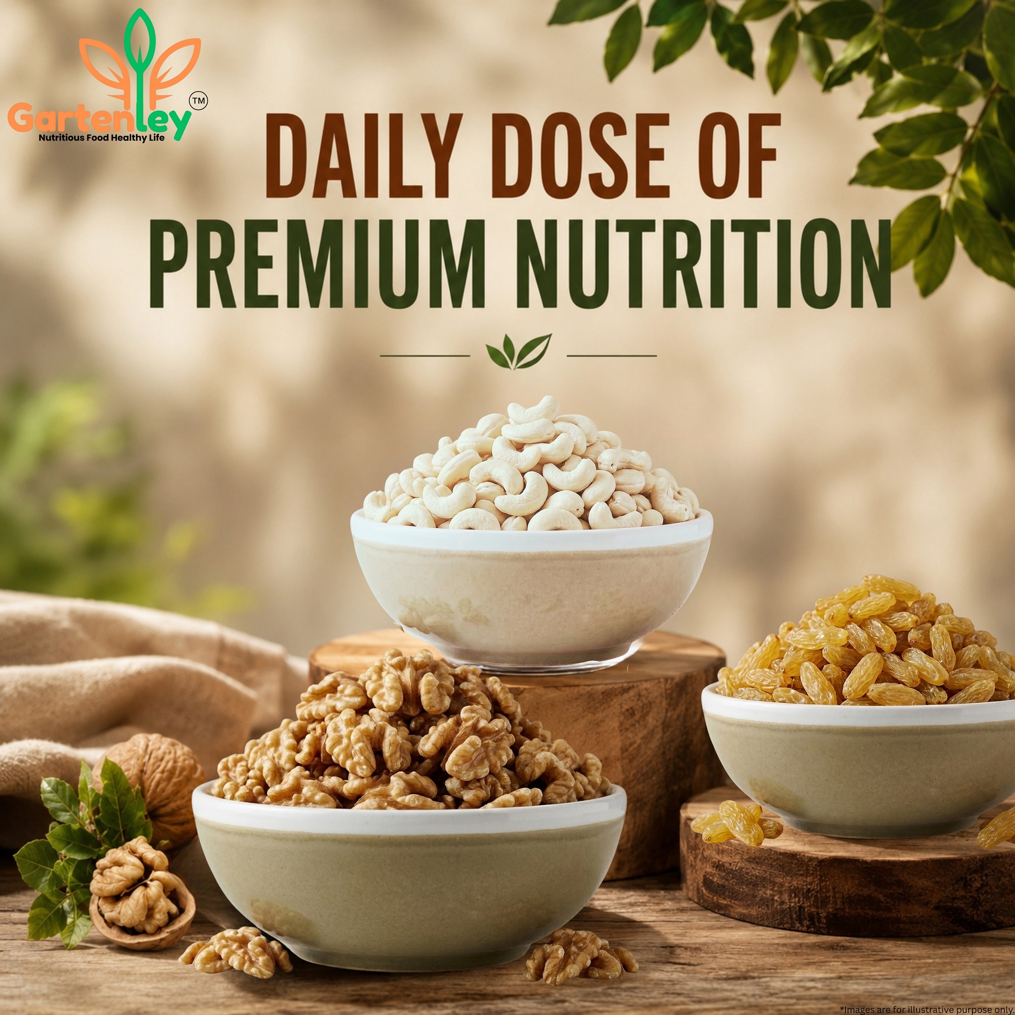 PREMIUM CASHEW, WALNUT KERNELS & RAISINS COMBO PACK - 600g - Image 6