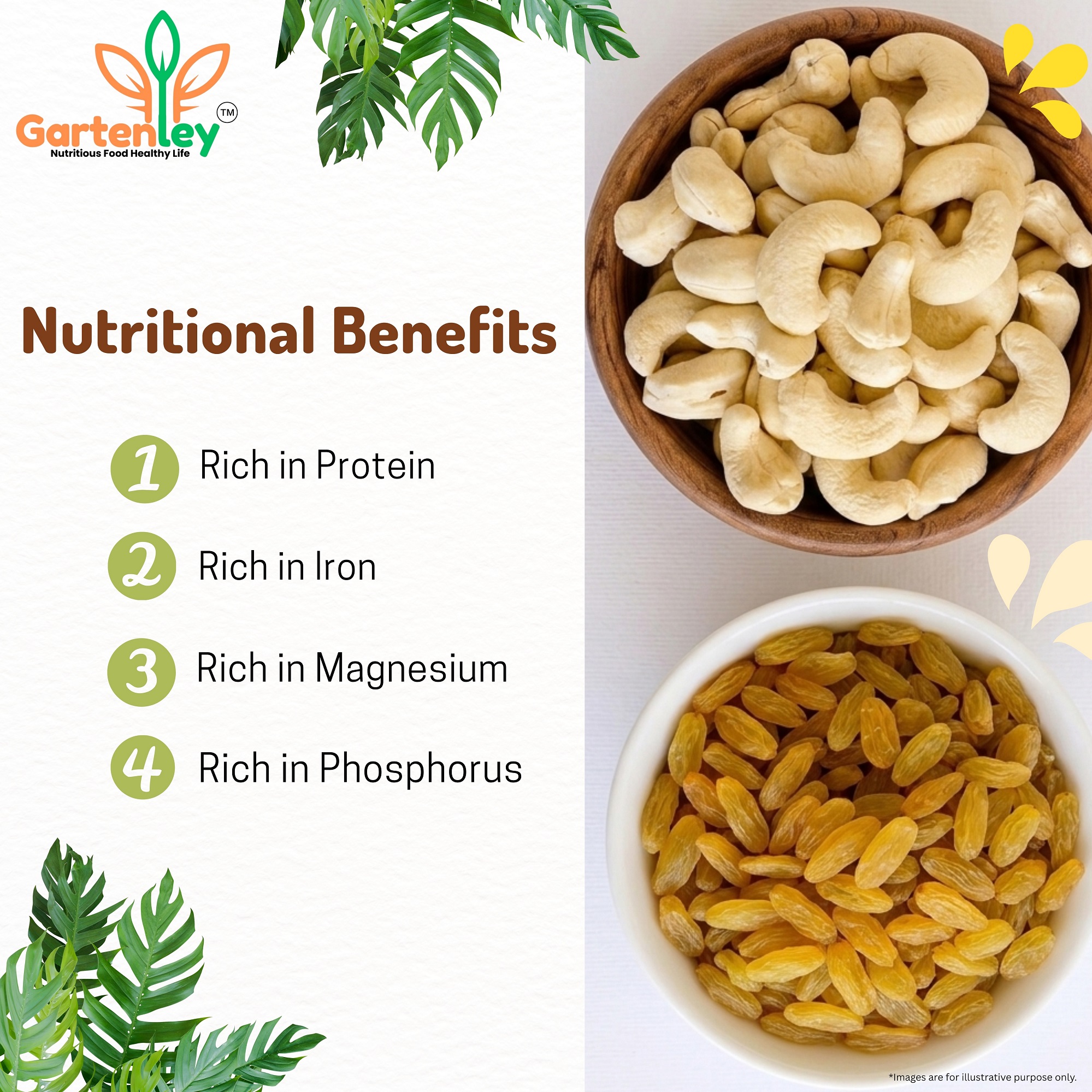 PREMIUM CASHEW KERNELS & RAISINS (KISHMISH) COMBO PACK- 400g - Image 3